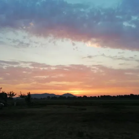 빌라 Rural La Figuera