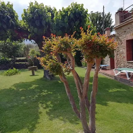Rural Mas Pareta