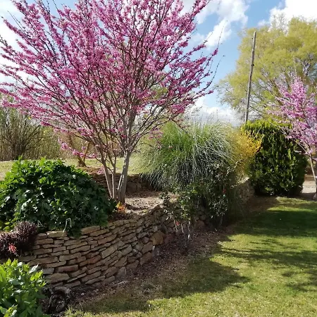 Villa Rural La Figuera *