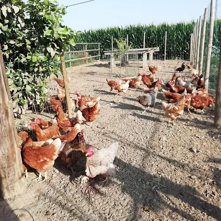 Farmház Rural Mas Pareta Fonalleras