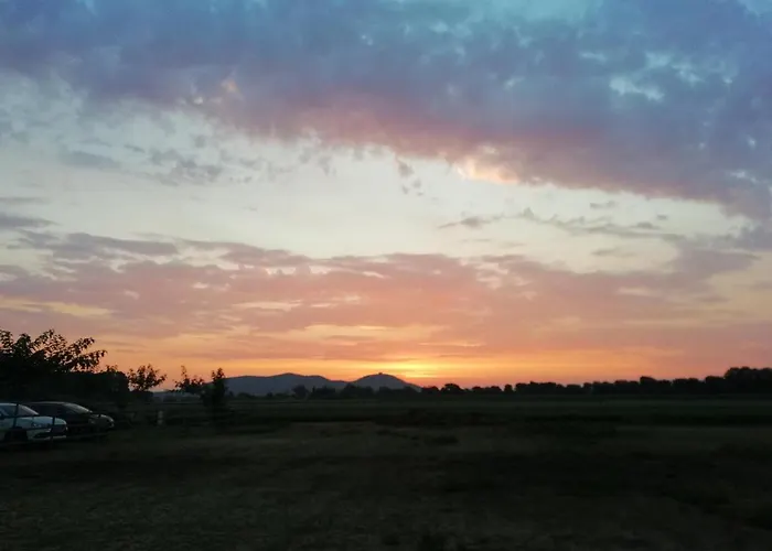 Agroturismo Rural Mas Pareta
