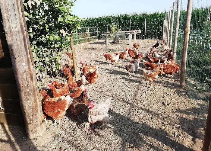 Agroturismo Rural Mas Pareta Fonalleras